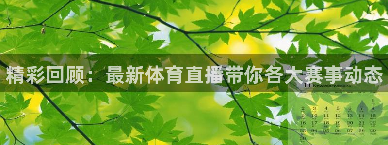 精彩回顾：最新体育直播带你各大赛事动态