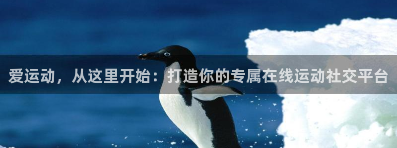 爱运动，从这里开始：打造你的专属在线运动社交平台