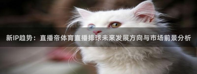 新IP趋势：直播帝体育直播排球未来发展方向与市场前景分析