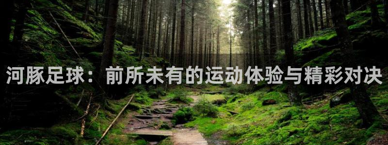 河豚足球：前所未有的运动体验与精彩对决